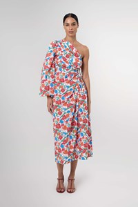 Kaia Floral One Sleeve Maxi Dress