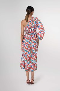 Kaia Floral One Sleeve Maxi Dress
