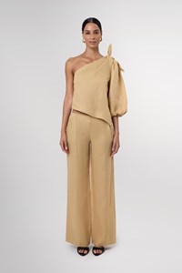 Naomi One Sleeve Backless Linen Top 